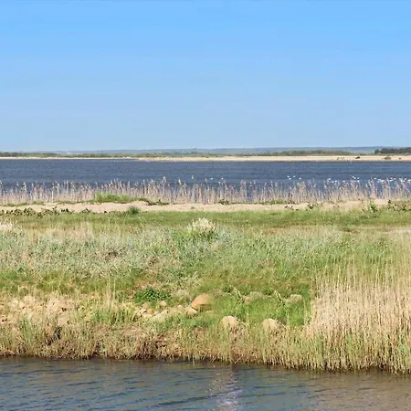 C11320-tarm-sivsangervaenget-6 * Tarm